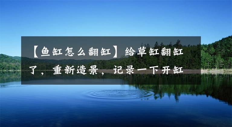 【鱼缸怎么翻缸】给草缸翻缸了，重新造景，记录一下开缸过程