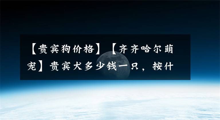【贵宾狗价格】【齐齐哈尔萌宠】贵宾犬多少钱一只，按什么标准来定价？