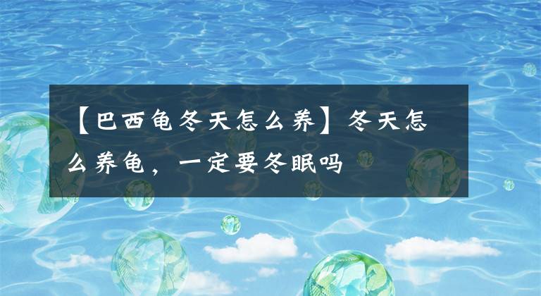 【巴西龟冬天怎么养】冬天怎么养龟，一定要冬眠吗