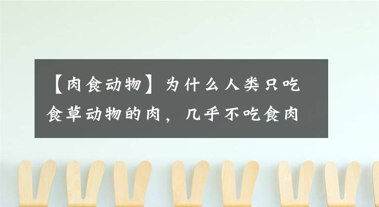 【肉食动物】为什么人类只吃食草动物的肉，几乎不吃食肉动物？难道是不好吃？