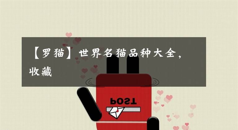 【罗猫】世界名猫品种大全，收藏