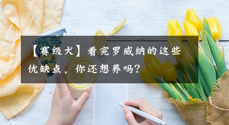 【赛级犬】看完罗威纳的这些优缺点，你还想养吗？