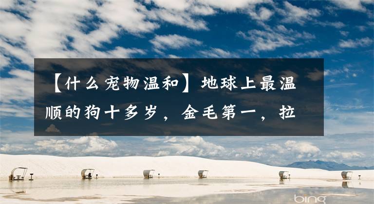 【什么宠物温和】地球上最温顺的狗十多岁，金毛第一，拉布拉多第二，你养了吗？