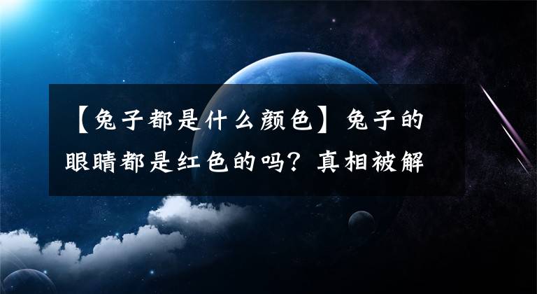 【兔子都是什么颜色】兔子的眼睛都是红色的吗？真相被解读了