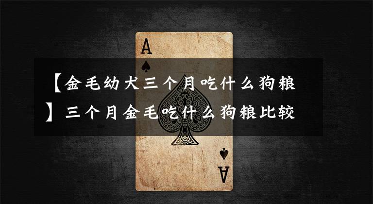 【金毛幼犬三个月吃什么狗粮】三个月金毛吃什么狗粮比较好？请推荐一下