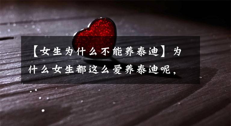 【女生为什么不能养泰迪】为什么女生都这么爱养泰迪呢，要它有何用？