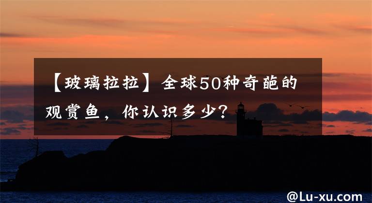 【玻璃拉拉】全球50种奇葩的观赏鱼，你认识多少？