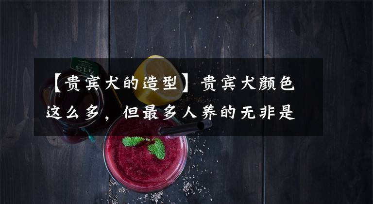 【贵宾犬的造型】贵宾犬颜色这么多，但最多人养的无非是这4种，哪个是你最爱？