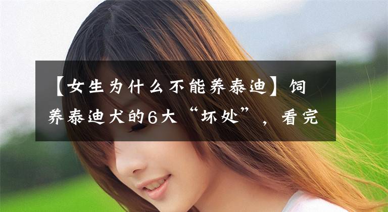 【女生为什么不能养泰迪】饲养泰迪犬的6大“坏处”，看完你还敢养吗？