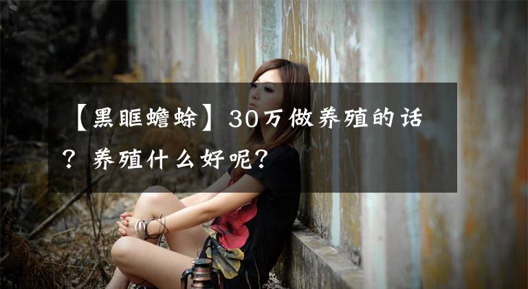 【黑眶蟾蜍】30万做养殖的话？养殖什么好呢？