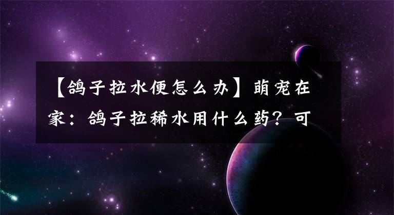【鸽子拉水便怎么办】萌宠在家：鸽子拉稀水用什么药？可能是什么原因导致的？