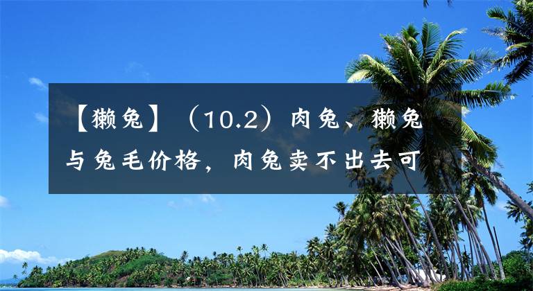 【獭兔】（10.2）肉兔、獭兔与兔毛价格，肉兔卖不出去可以找我