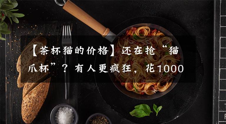 【茶杯猫的价格】还在抢“猫爪杯”？有人更疯狂，花10000元给猫割双眼皮，过程很惊悚