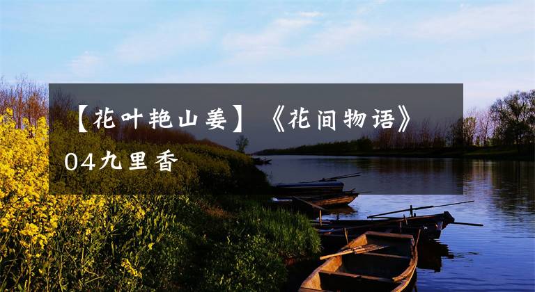 【花叶艳山姜】《花间物语》04九里香