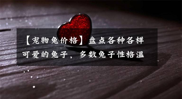 【宠物兔价格】盘点各种各样可爱的兔子，多数兔子性格温顺，惹人喜爱