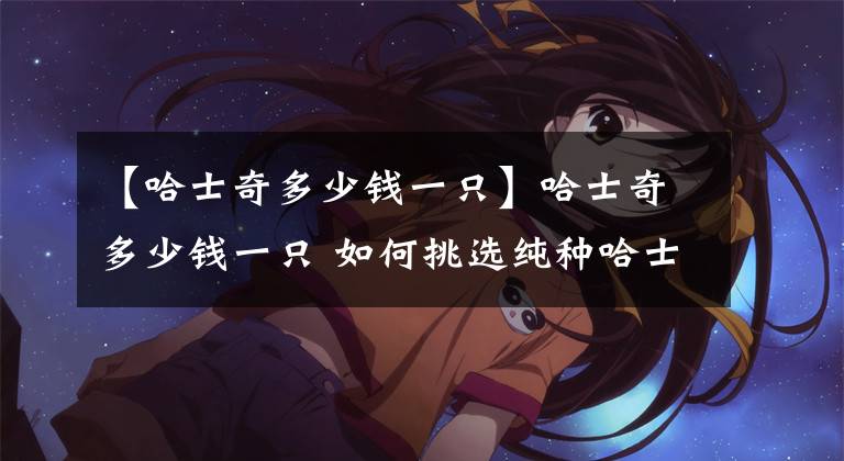 【哈士奇多少钱一只】哈士奇多少钱一只 如何挑选纯种哈士奇