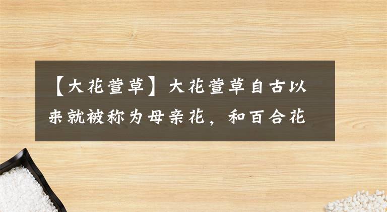【大花萱草】大花萱草自古以来就被称为母亲花，和百合花的外形非常相似
