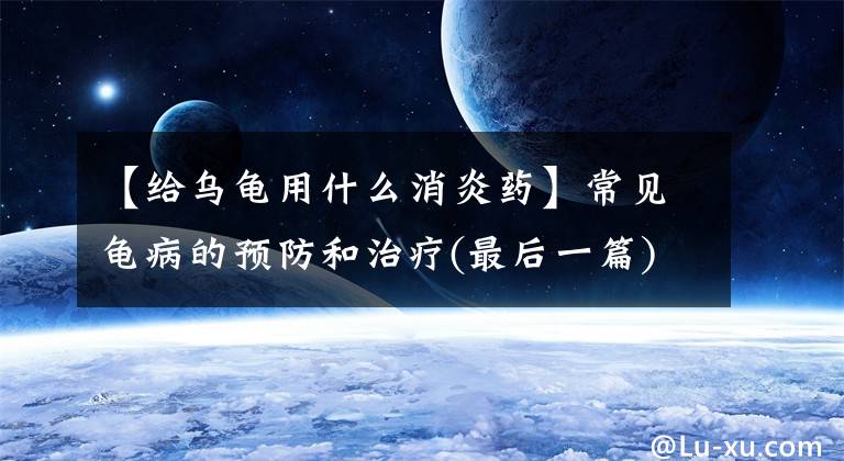 【给乌龟用什么消炎药】常见龟病的预防和治疗(最后一篇)