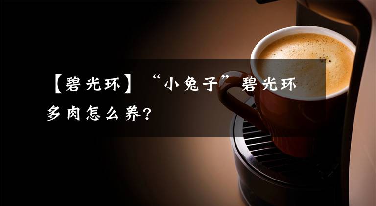 【碧光环】“小兔子”碧光环多肉怎么养?