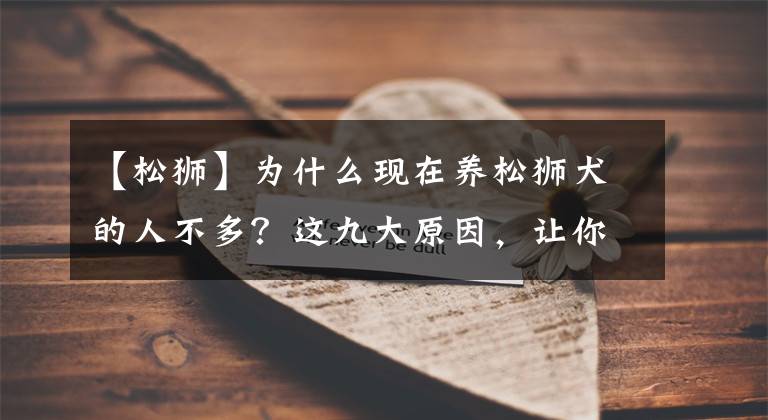 【松狮】为什么现在养松狮犬的人不多？这九大原因，让你不得不放弃