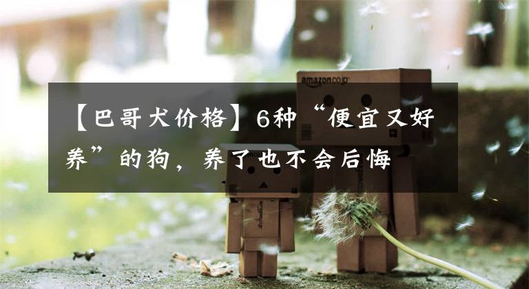 【巴哥犬价格】6种“便宜又好养”的狗，养了也不会后悔
