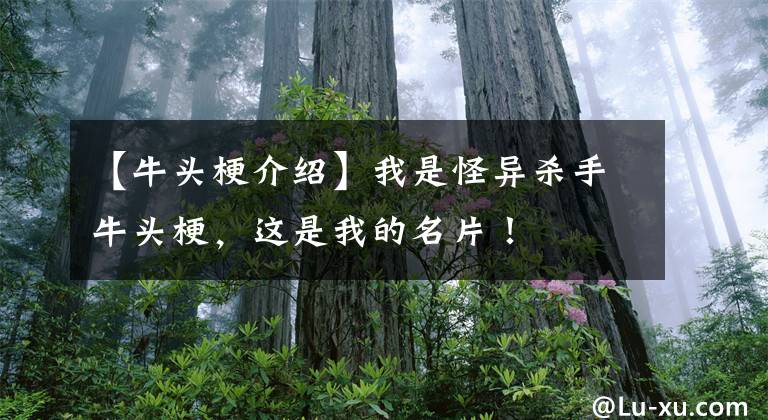 【牛头梗介绍】我是怪异杀手牛头梗，这是我的名片！