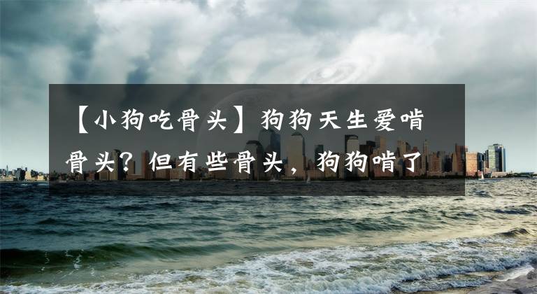 【小狗吃骨头】狗狗天生爱啃骨头？但有些骨头，狗狗啃了可能会丧命