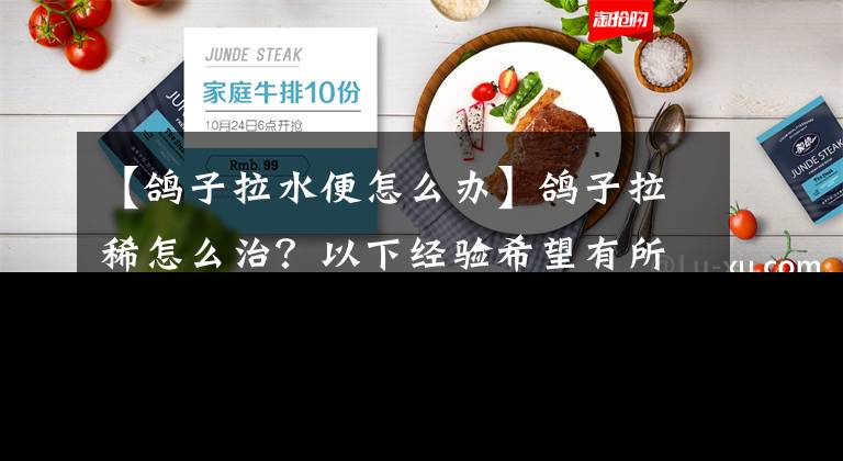 【鸽子拉水便怎么办】鸽子拉稀怎么治？以下经验希望有所帮助