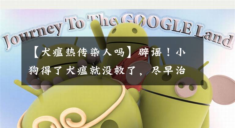 【犬瘟热传染人吗】辟谣！小狗得了犬瘟就没救了，尽早治疗或许还有一线生机