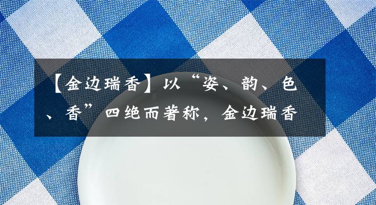 【金边瑞香】以“姿、韵、色、香”四绝而著称，金边瑞香养护很简单，看这里