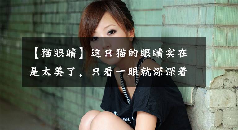 【猫眼睛】这只猫的眼睛实在是太美了，只看一眼就深深着了魔