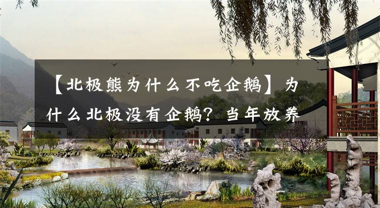 【北极熊为什么不吃企鹅】为什么北极没有企鹅？当年放养北极的69只企鹅，后来怎样了？