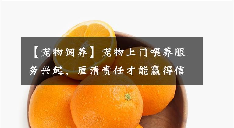 【宠物饲养】宠物上门喂养服务兴起，厘清责任才能赢得信任