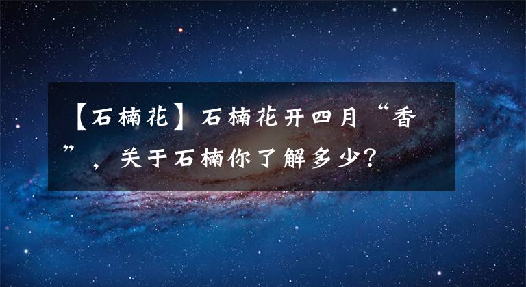 【石楠花】石楠花开四月“香”，关于石楠你了解多少？