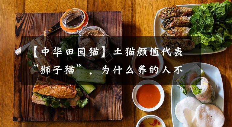 【中华田园猫】土猫颜值代表“狮子猫”，为什么养的人不多？