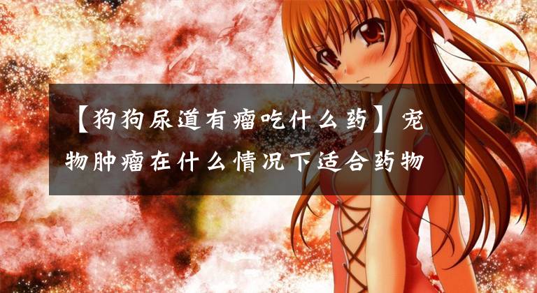 【狗狗尿道有瘤吃什么药】宠物肿瘤在什么情况下适合药物治疗？