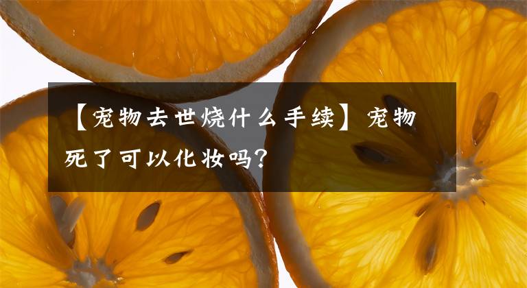 【宠物去世烧什么手续】宠物死了可以化妆吗？