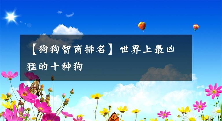【狗狗智商排名】世界上最凶猛的十种狗