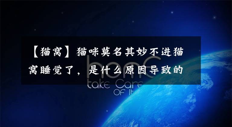 【猫窝】猫咪莫名其妙不进猫窝睡觉了，是什么原因导致的呢？