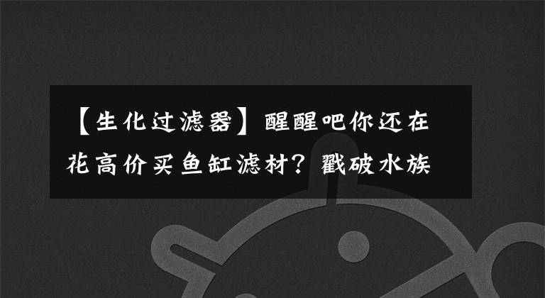 【生化过滤器】醒醒吧你还在花高价买鱼缸滤材？戳破水族新谎言：新型鱼缸过滤