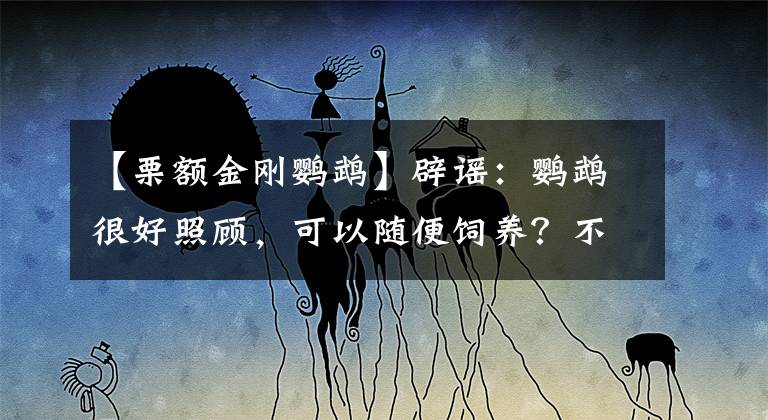 【栗额金刚鹦鹉】辟谣：鹦鹉很好照顾，可以随便饲养？不，鸟类的拔羽症是个大问题