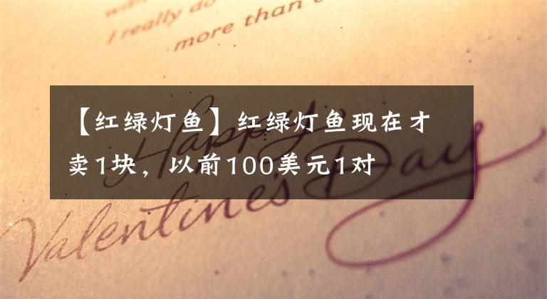 【红绿灯鱼】红绿灯鱼现在才卖1块，以前100美元1对