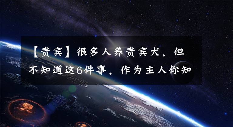 【贵宾】很多人养贵宾犬，但不知道这6件事，作为主人你知道吗？