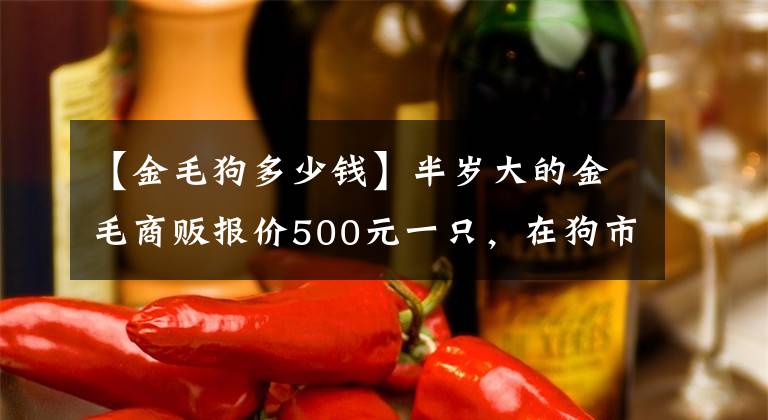 【金毛狗多少钱】半岁大的金毛商贩报价500元一只，在狗市属于贵还是便宜呢？