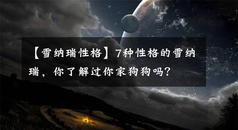 【雪纳瑞性格】7种性格的雪纳瑞，你了解过你家狗狗吗？