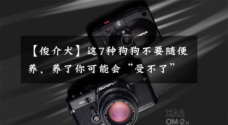 【俊介犬】这7种狗狗不要随便养，养了你可能会“受不了”