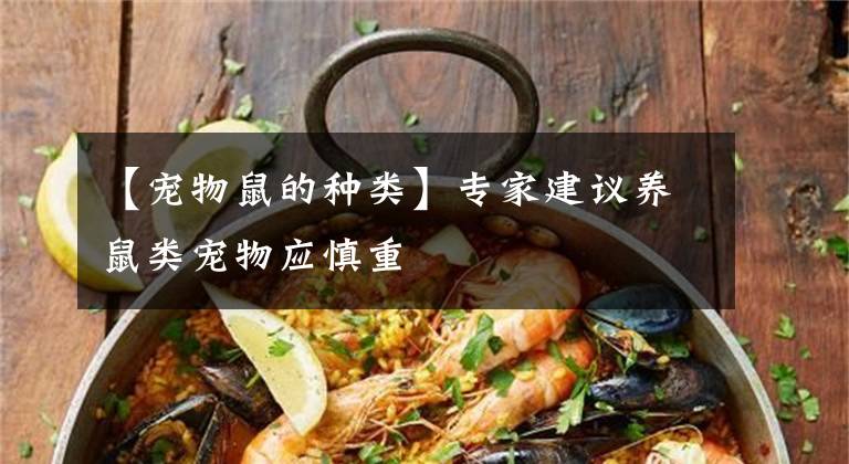 【宠物鼠的种类】专家建议养鼠类宠物应慎重