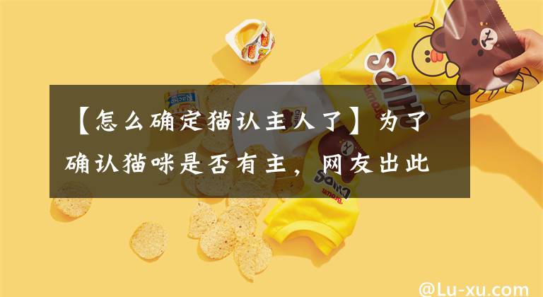 【怎么确定猫认主人了】为了确认猫咪是否有主，网友出此下策，猫：我亲妈都认不出啊