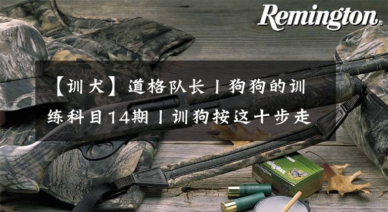 【训犬】道格队长丨狗狗的训练科目14期丨训狗按这十步走就很简单了