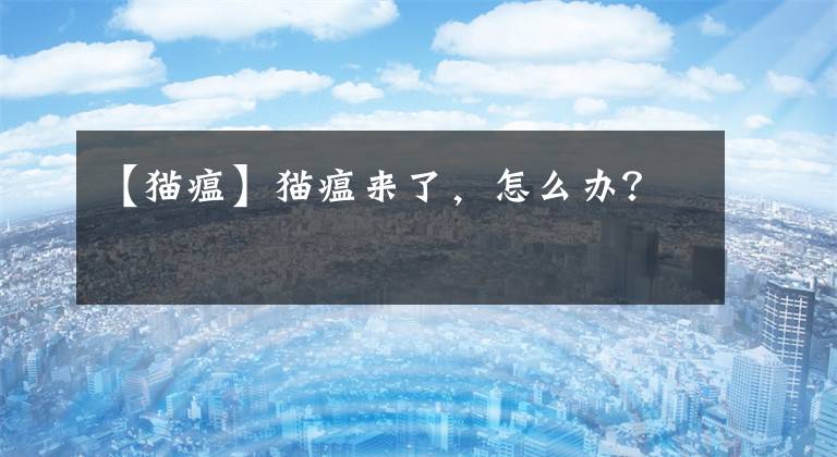 【猫瘟】猫瘟来了，怎么办？